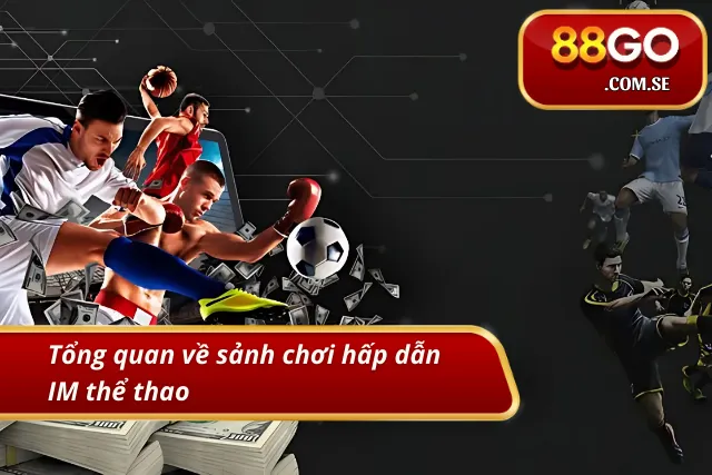 88GO - Trang Chủ 88GO.COM Chính Thức - Khám Phá Thế Giới Giải Trí Đỉnh Cao